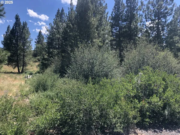 $18,000 | Margi Way, Unit 8, Chiloquin, OR 97624