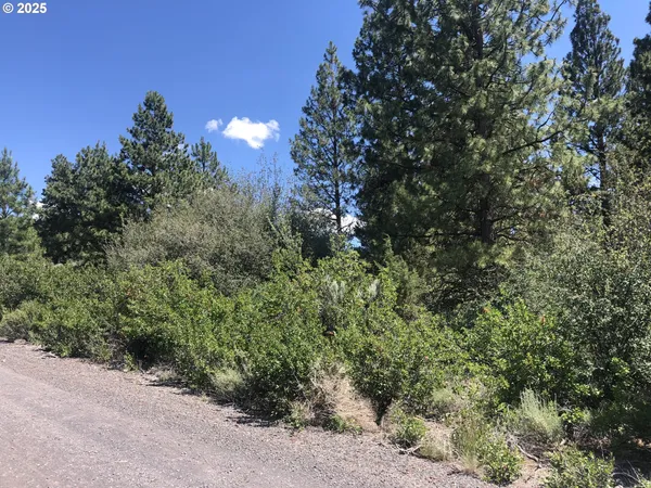 $18,000 | Margi Way, Unit 8, Chiloquin, OR 97624