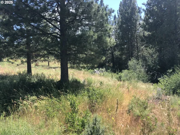 $18,000 | Margi Way, Unit 8, Chiloquin, OR 97624