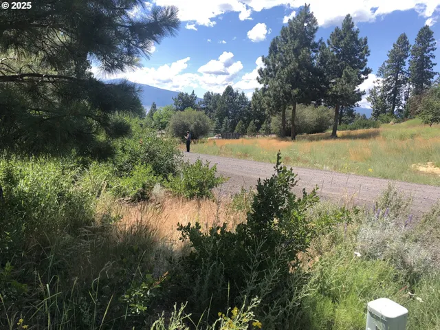 a view of lake from a yard