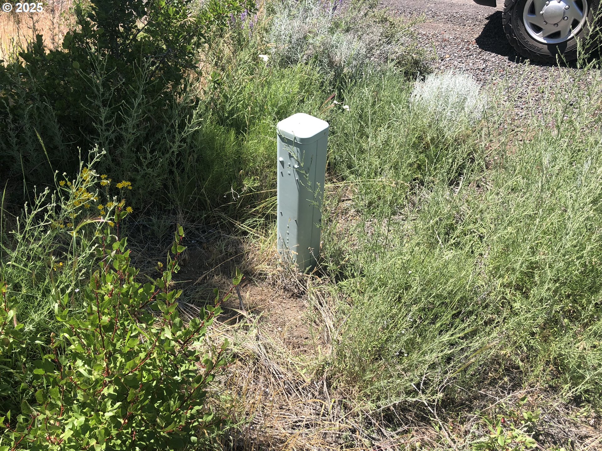 Margi Way, Unit 8 Chiloquin, OR 97624 - Photo 20 of 23 a close up of a plant in a garden