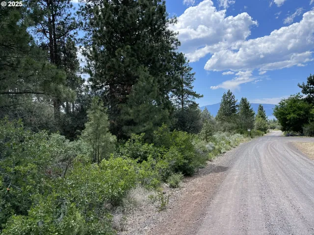 a view of a street with a trees