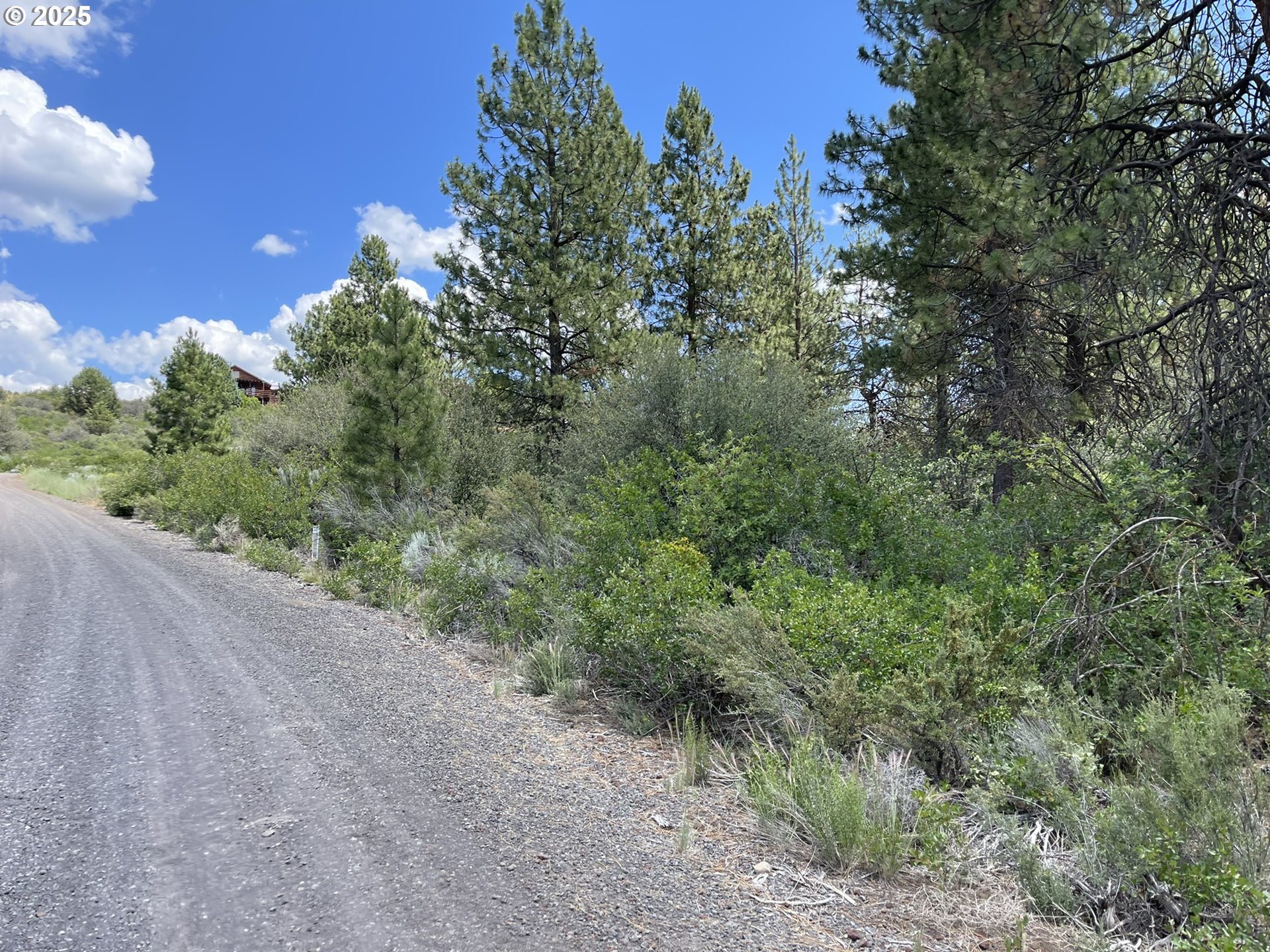 Margi Way, Unit 8 Chiloquin, OR 97624 - Photo 5 of 23 a view of a yard with a tree