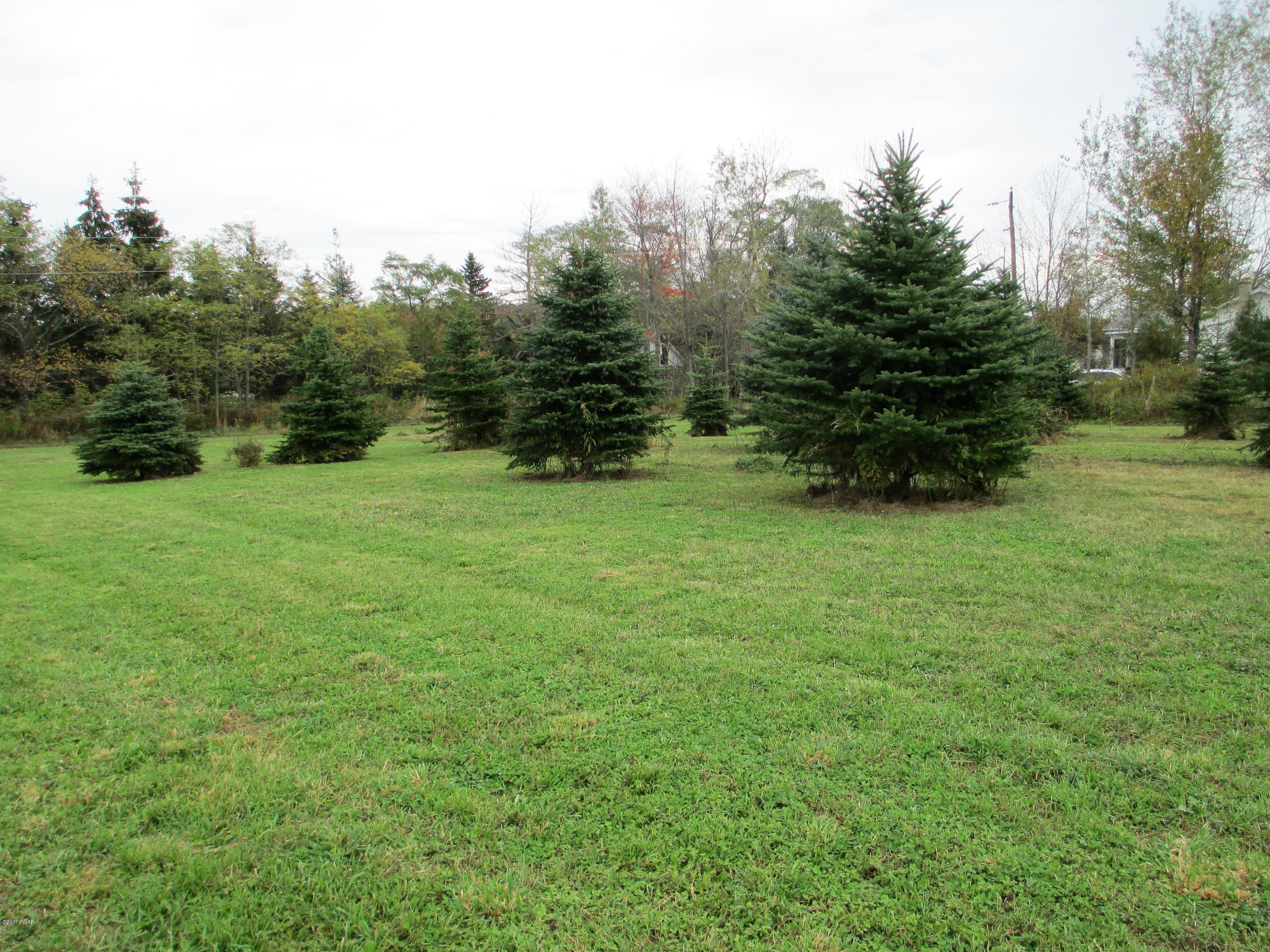 116 Rose Road Lake Ariel, PA 18436 - Photo 34 of 35 trees