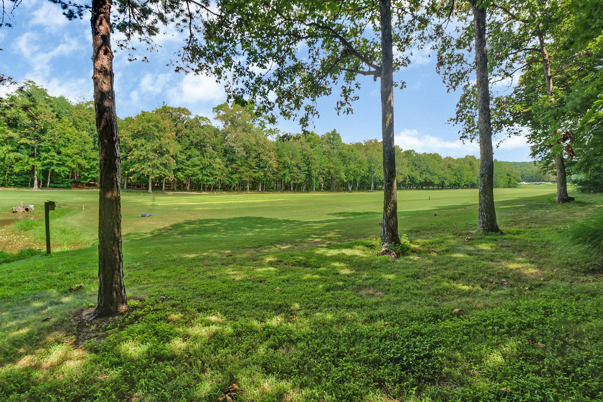 44 Inwood Court Crossville, TN 38558 - Photo 48 of 54 a view of a field with a tree