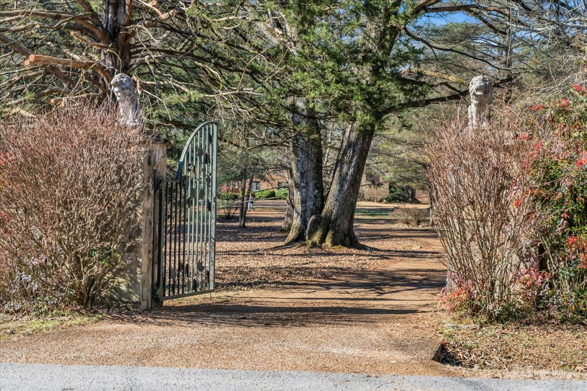 1006 Remington Place Manchester, TN 37355 - Photo 57 of 95 a view of a yard with large trees