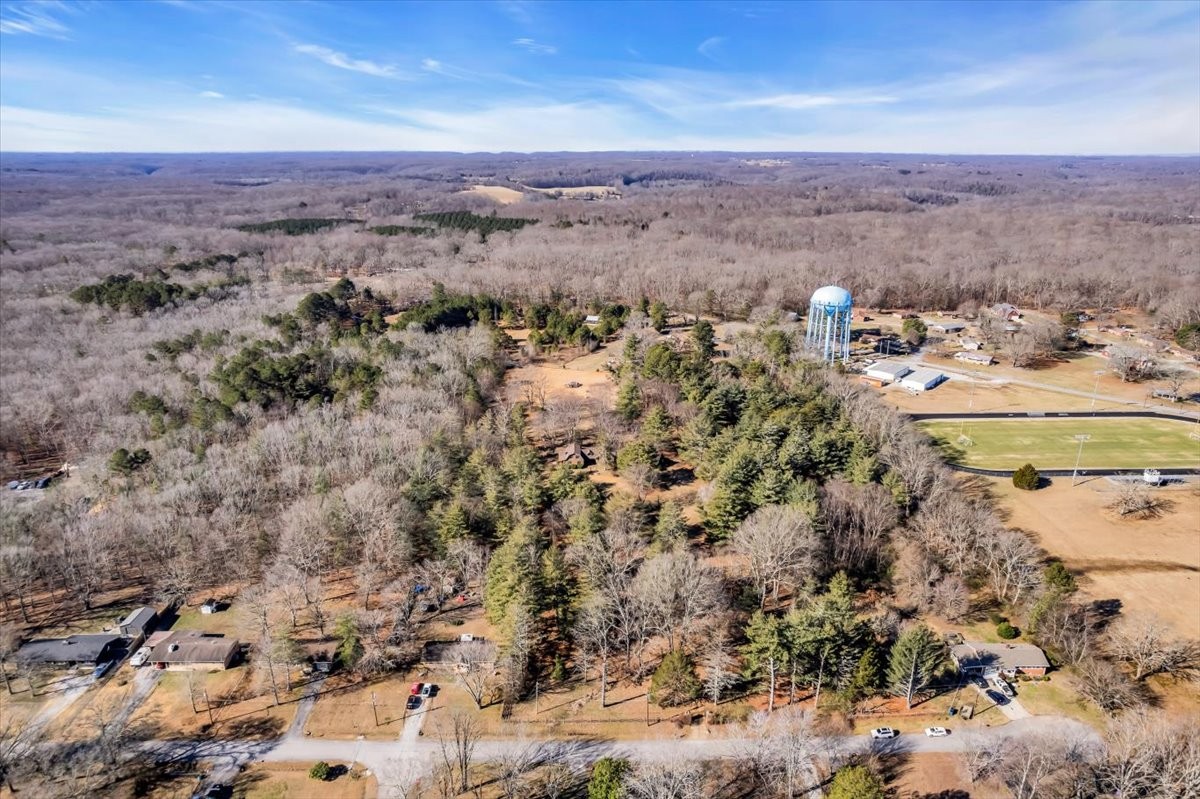 1006 Remington Place Manchester, TN 37355 - Photo 62 of 98 a view of a city with ocean view