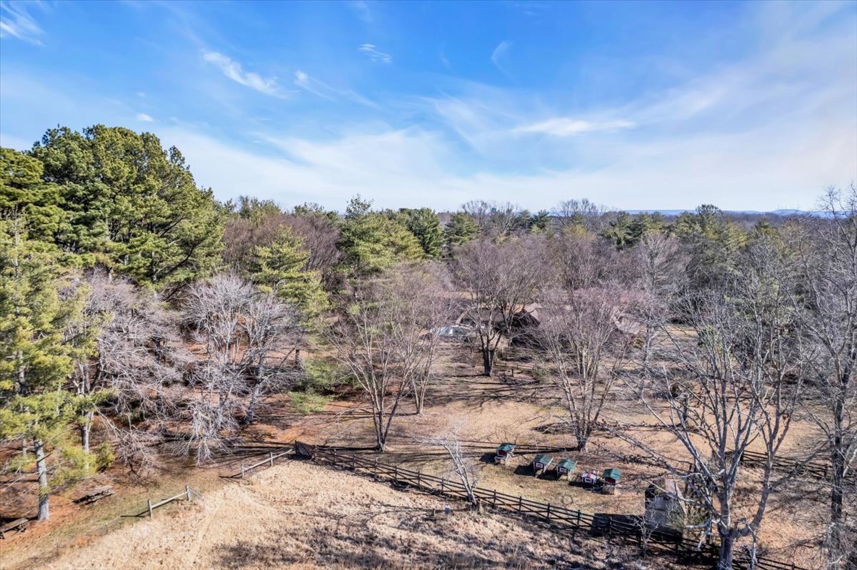 1006 Remington Place Manchester, TN 37355 - Photo 67 of 98 a view of a yard with lots of bushes
