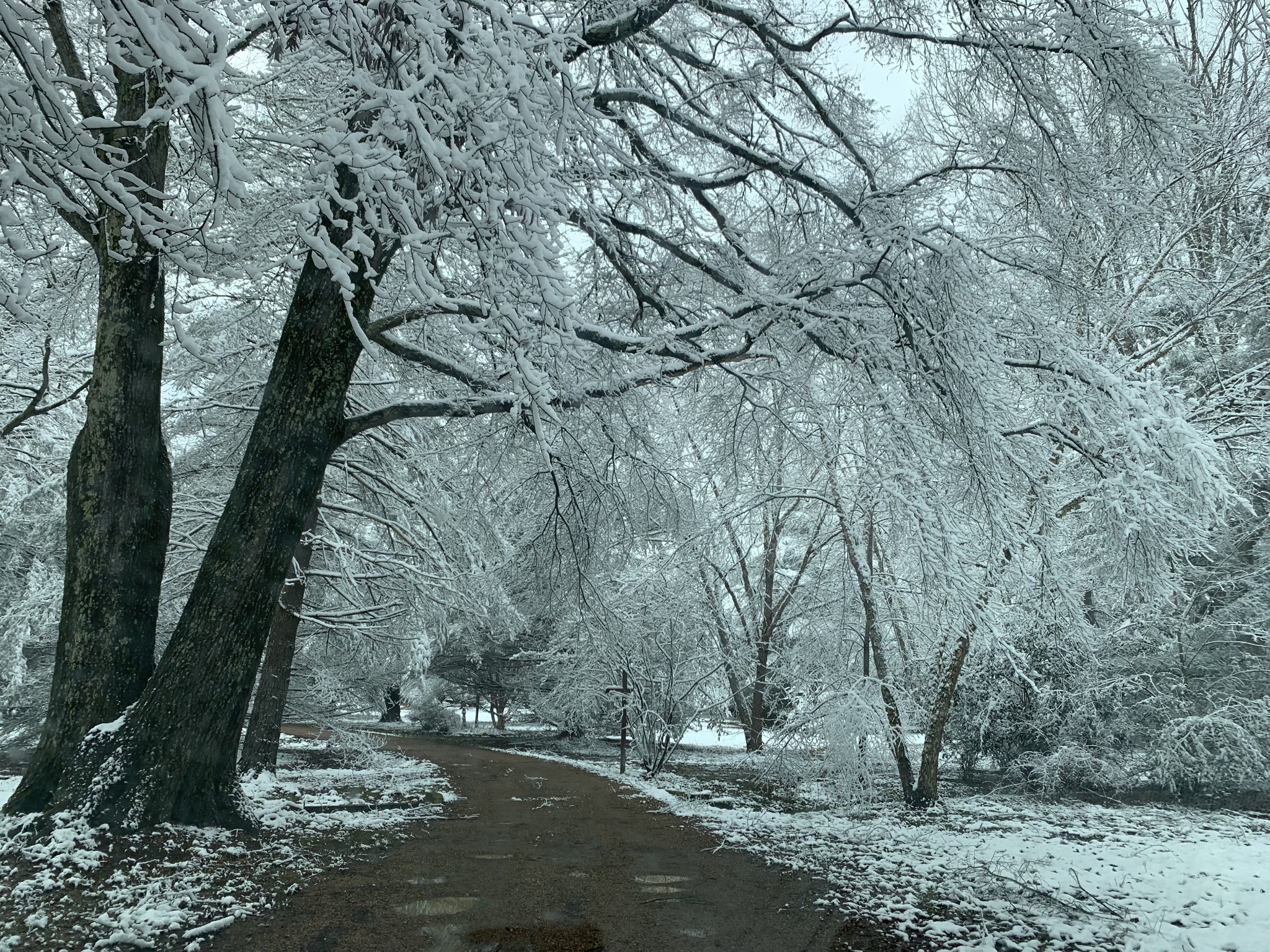 1006 Remington Place Manchester, TN 37355 - Photo 72 of 95