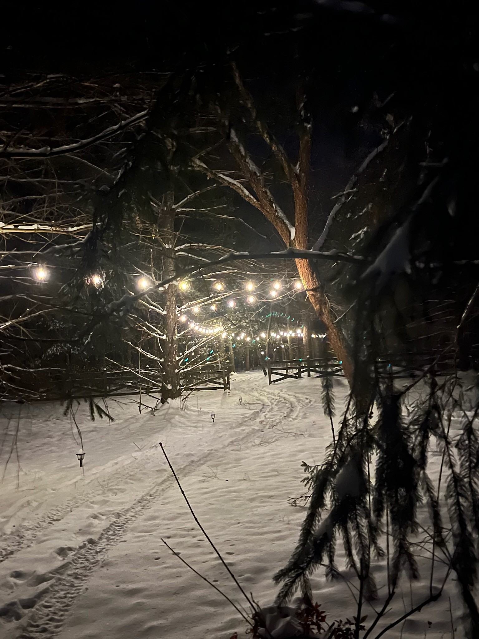 1006 Remington Place Manchester, TN 37355 - Photo 74 of 95