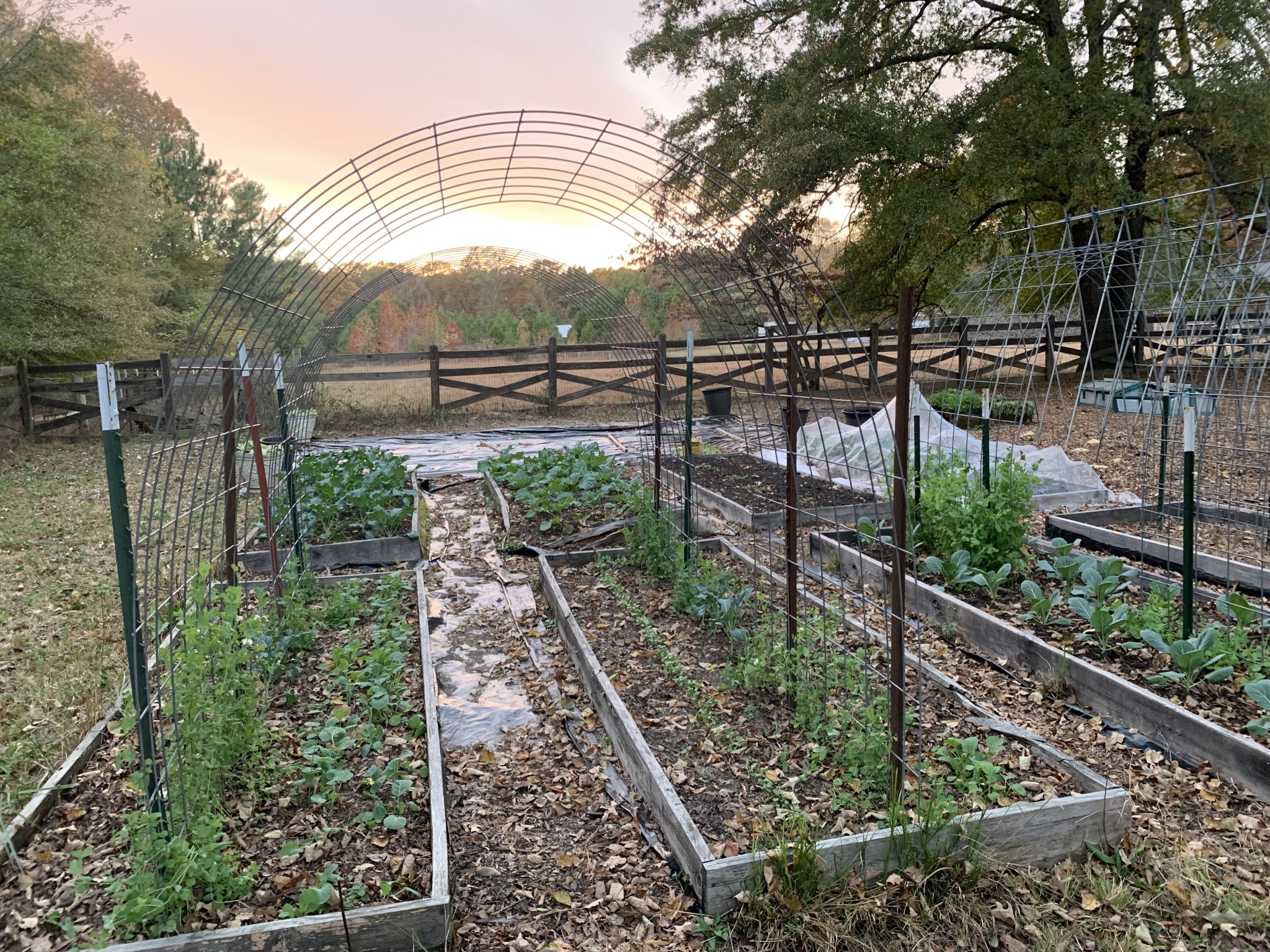 1006 Remington Place Manchester, TN 37355 - Photo 82 of 95