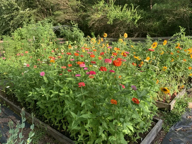 $799,900 | 1006 Remington Place, Manchester, TN 37355