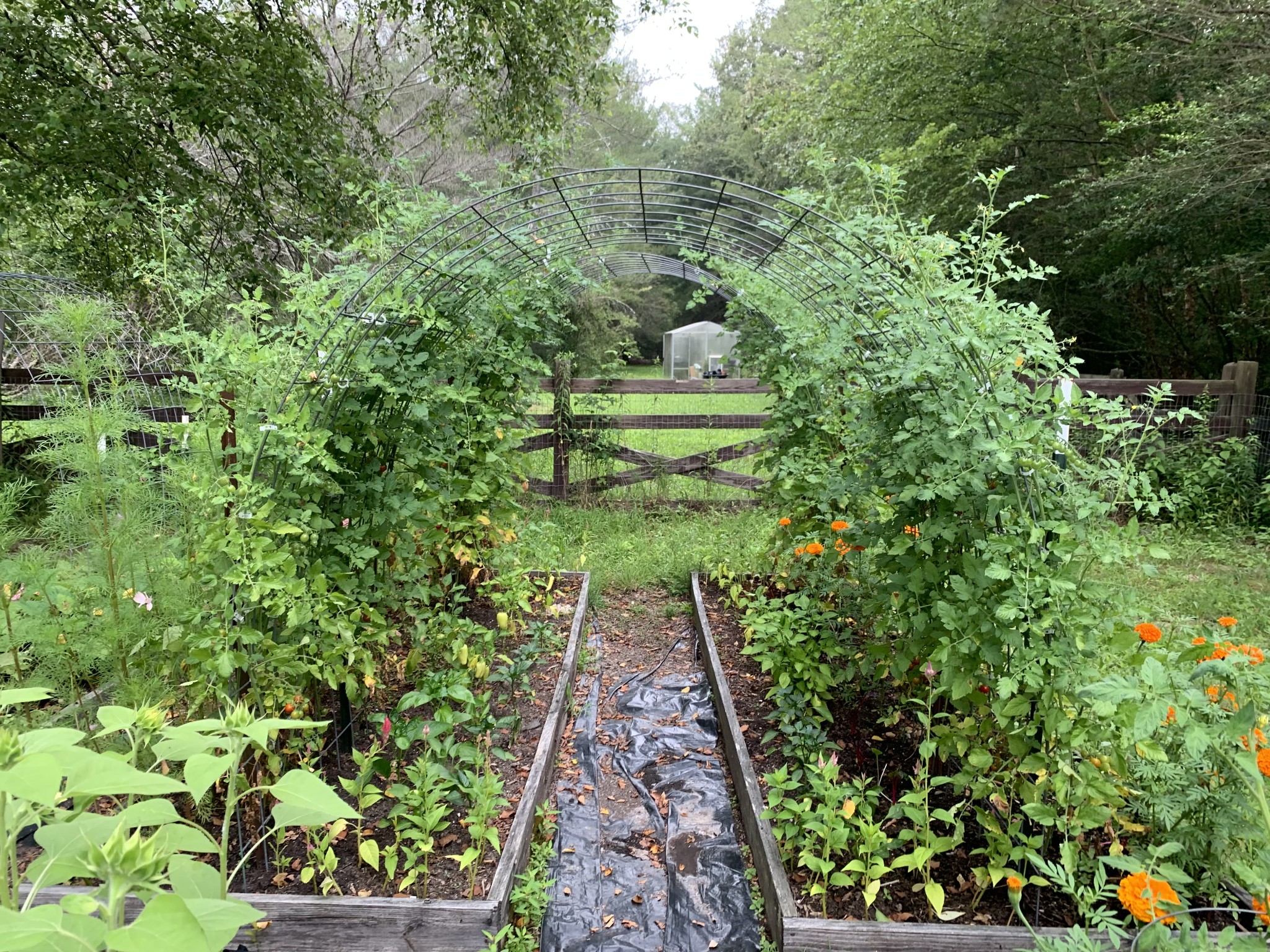 1006 Remington Place Manchester, TN 37355 - Photo 84 of 95