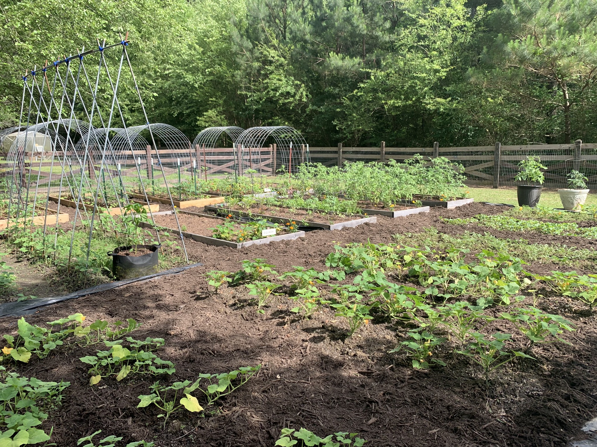 1006 Remington Place Manchester, TN 37355 - Photo 85 of 95