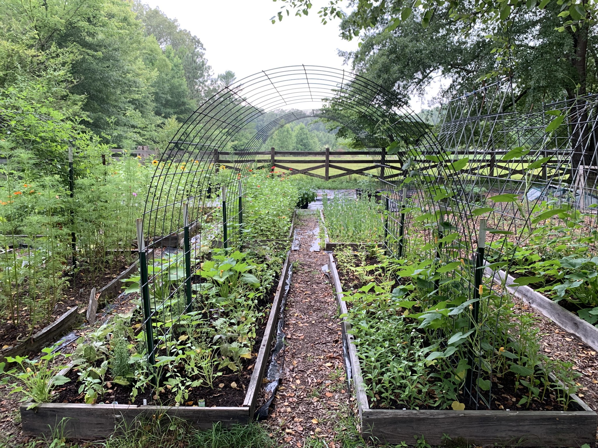 1006 Remington Place Manchester, TN 37355 - Photo 86 of 95