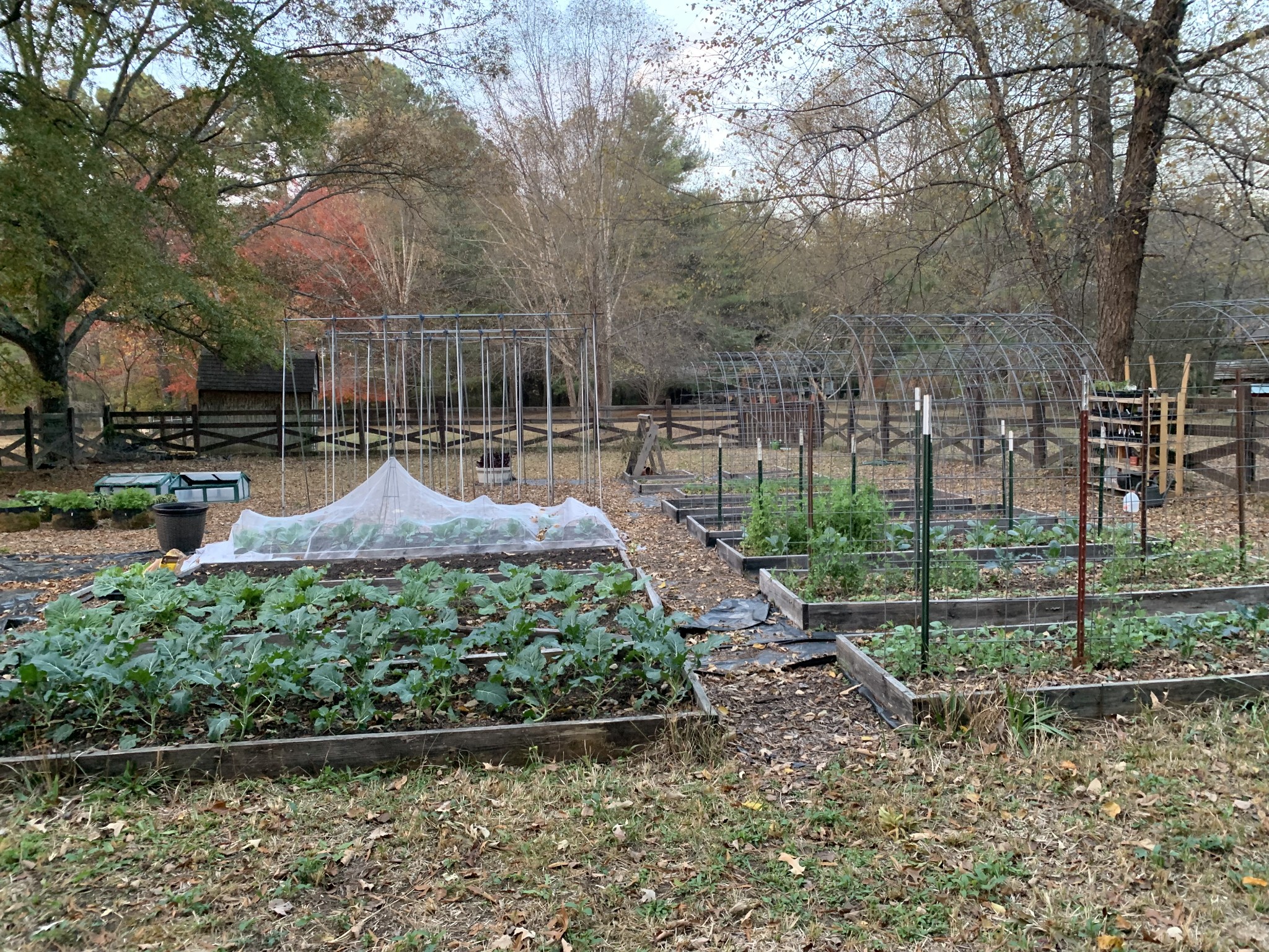 1006 Remington Place Manchester, TN 37355 - Photo 88 of 95