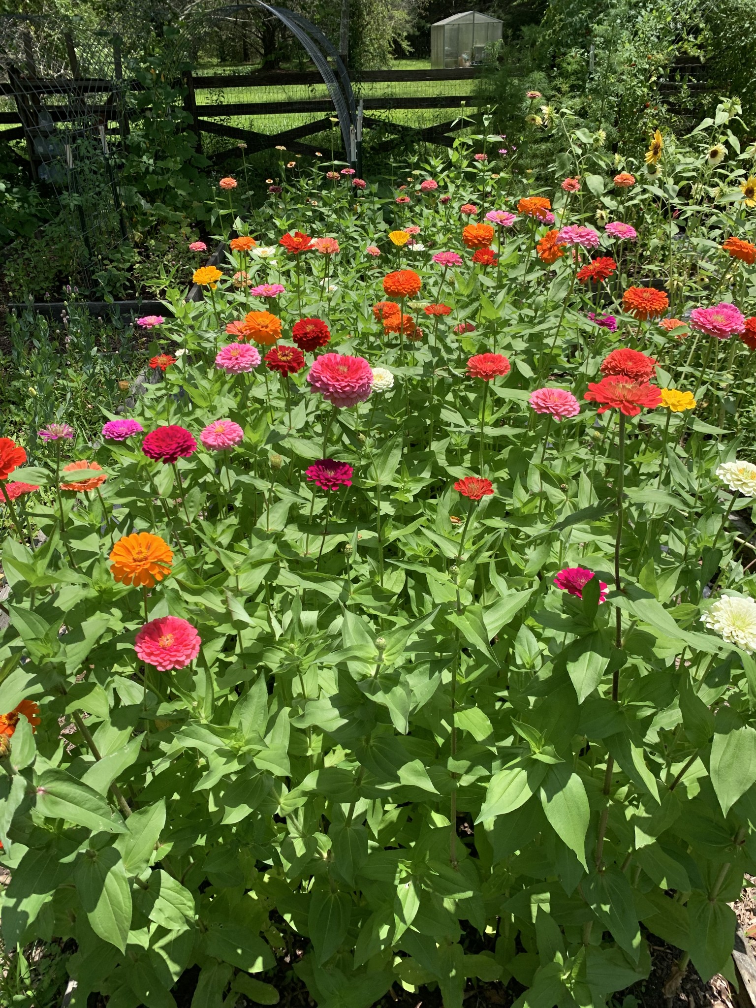 1006 Remington Place Manchester, TN 37355 - Photo 90 of 95