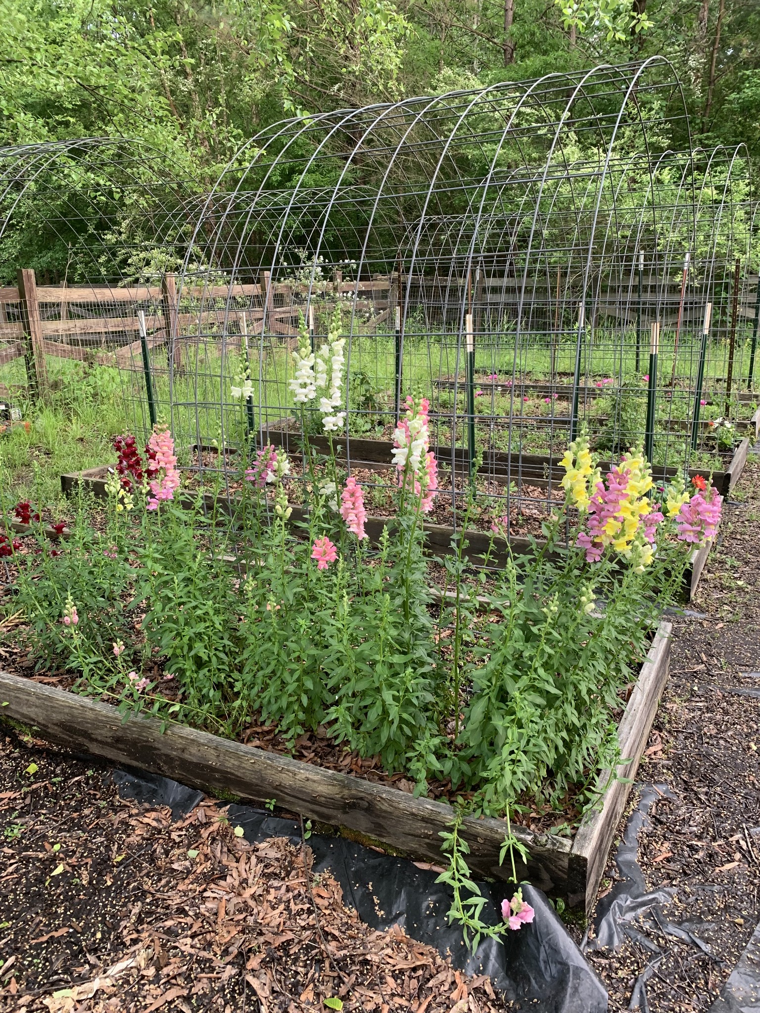 1006 Remington Place Manchester, TN 37355 - Photo 94 of 95