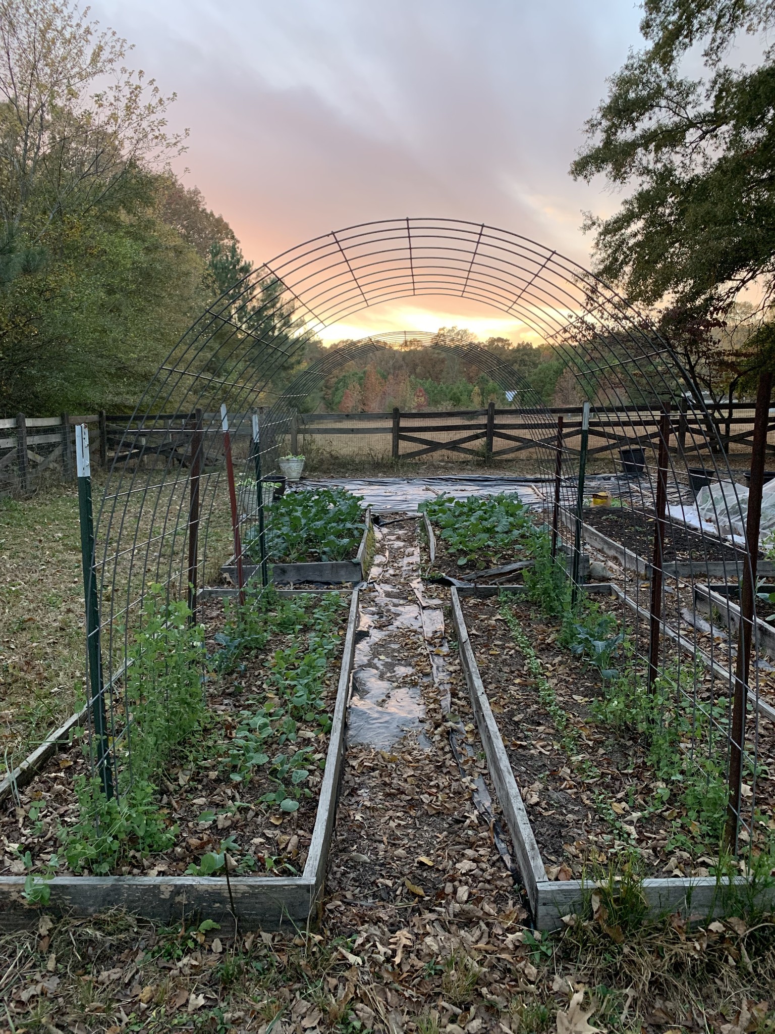 1006 Remington Place Manchester, TN 37355 - Photo 95 of 95