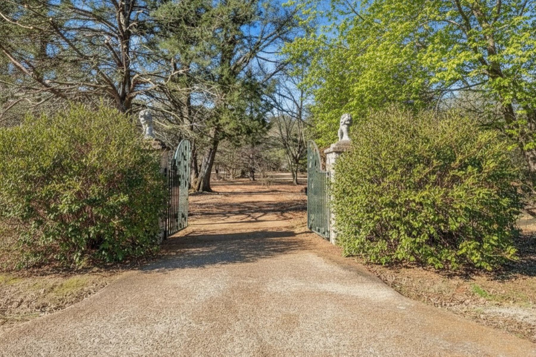 1006 Remington Place Manchester, TN 37355 - Photo 97 of 98 a view of backyard with pathway