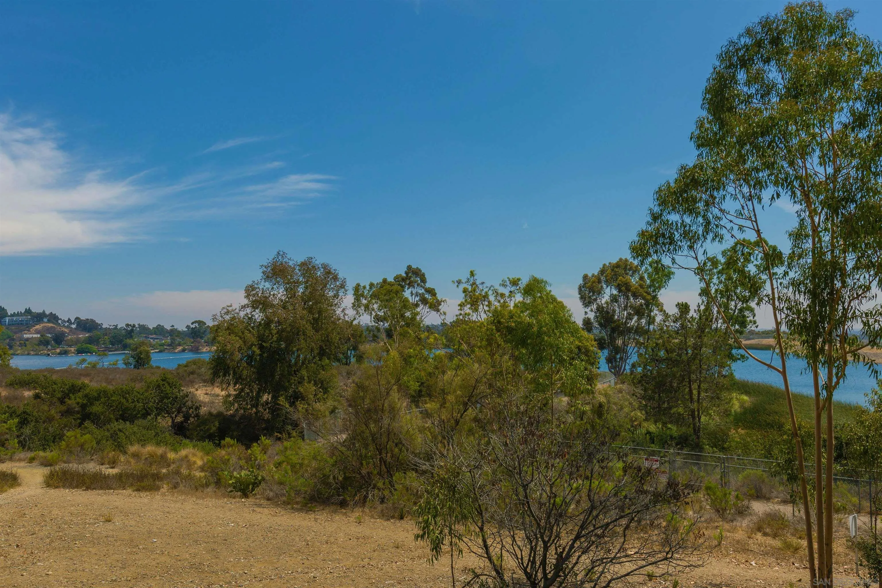 11061 Scripps Ranch Boulevard San Diego, CA 92131 - Photo 63 of 66 a view of a yard with a tree