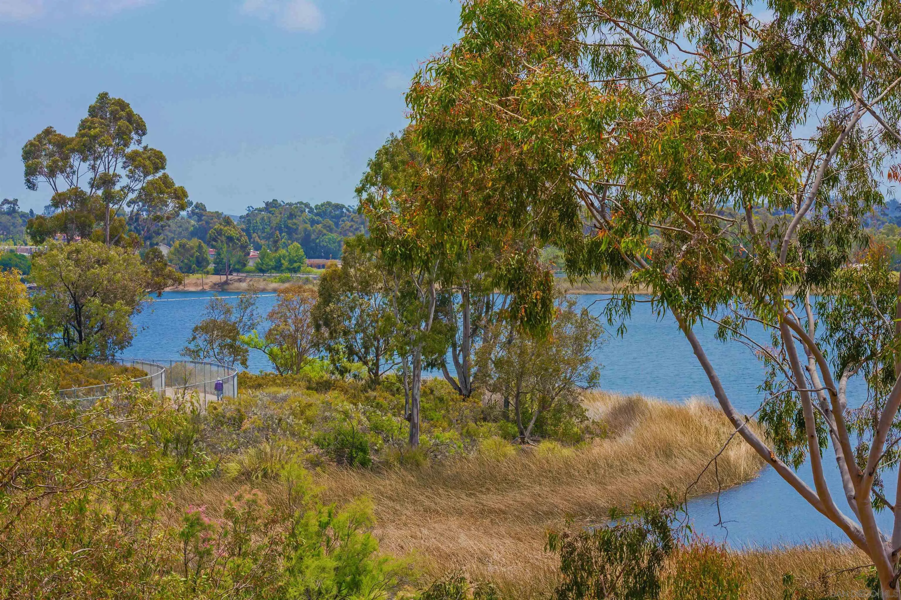 11061 Scripps Ranch Boulevard San Diego, CA 92131 - Photo 64 of 66 a backyard of a house with lots of green space