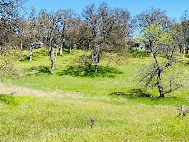0 Modoc Coarsegold, CA 93614 - Photo 1 of 5 Gallery Image 1
