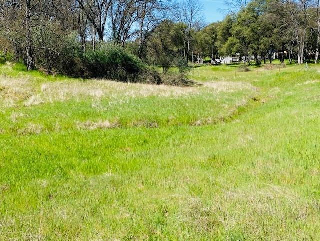0 Modoc Coarsegold, CA 93614 - Photo 2 of 5 Gallery Image 2