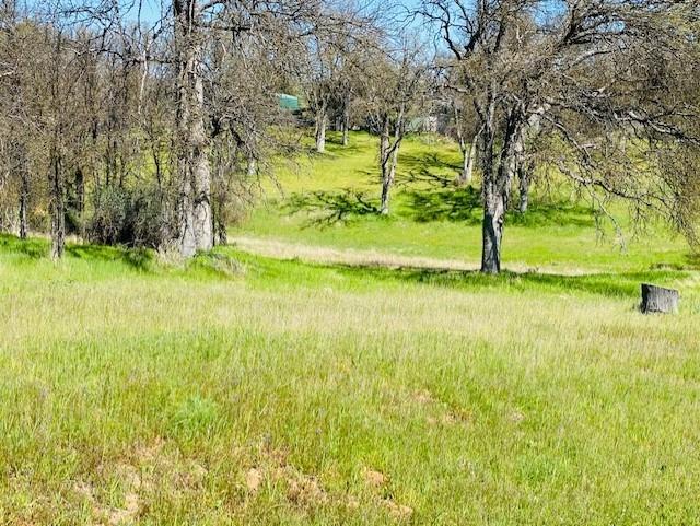 0 Modoc Coarsegold, CA 93614 - Photo 3 of 5 Gallery Image 3