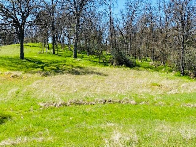 0 Modoc Coarsegold, CA 93614 - Photo 4 of 5 Gallery Image 4