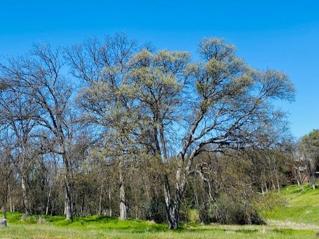 0 Modoc Coarsegold, CA 93614 - Photo 5 of 5 Gallery Image 5