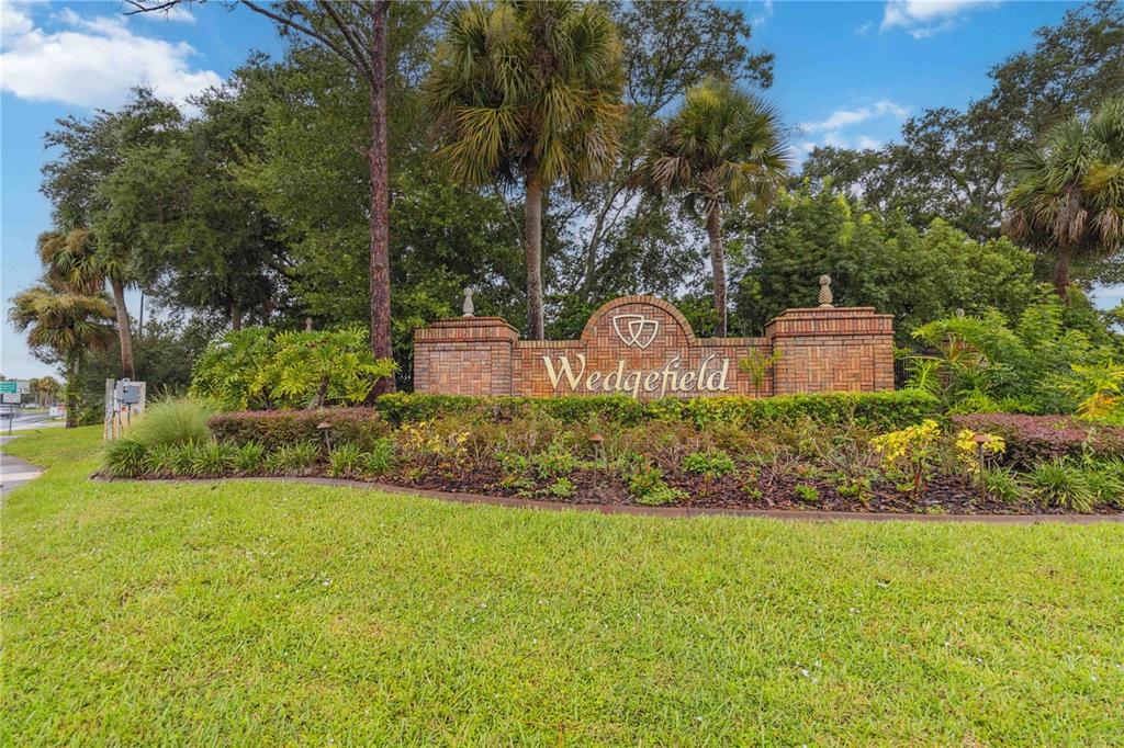 2881 Lyndscape Street Orlando, FL 32833 - Photo 24 of 30 a view of a back yard