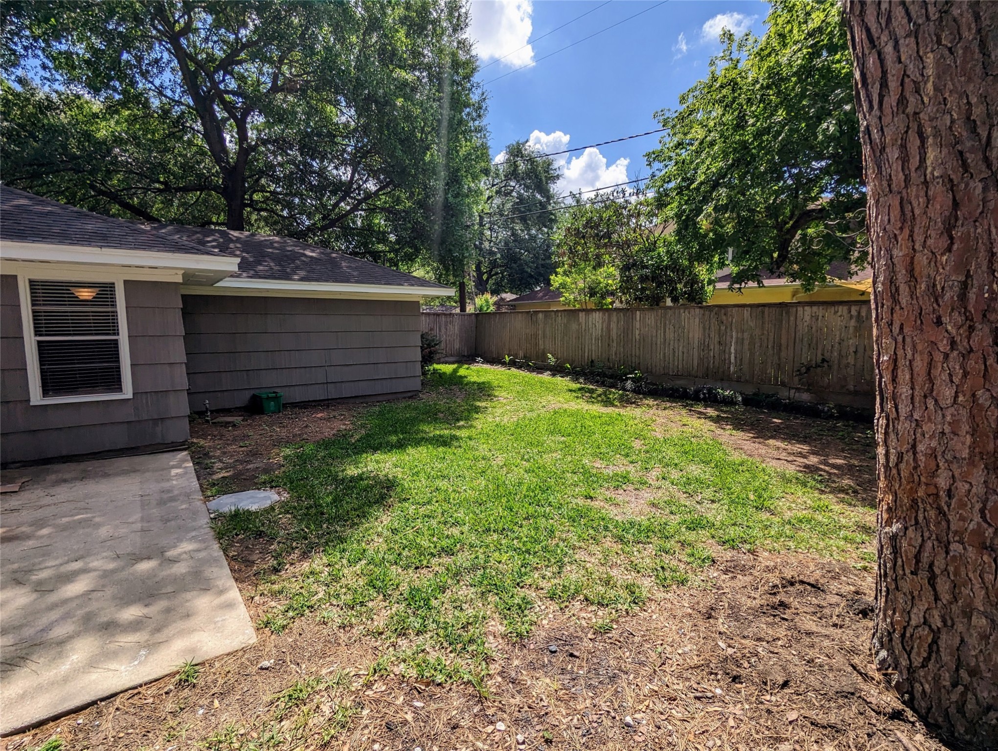 3111 Deal Street Houston, TX 77025 - Photo 37 of 39 a view of a backyard with a large tree and wooden fence
