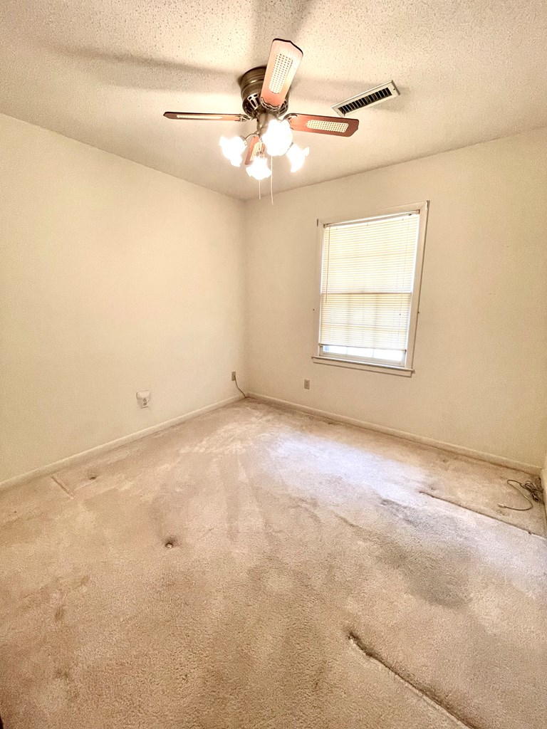 243 Blackman Road Dothan, AL 36301 - Photo 19 of 43 Bedroom 2
