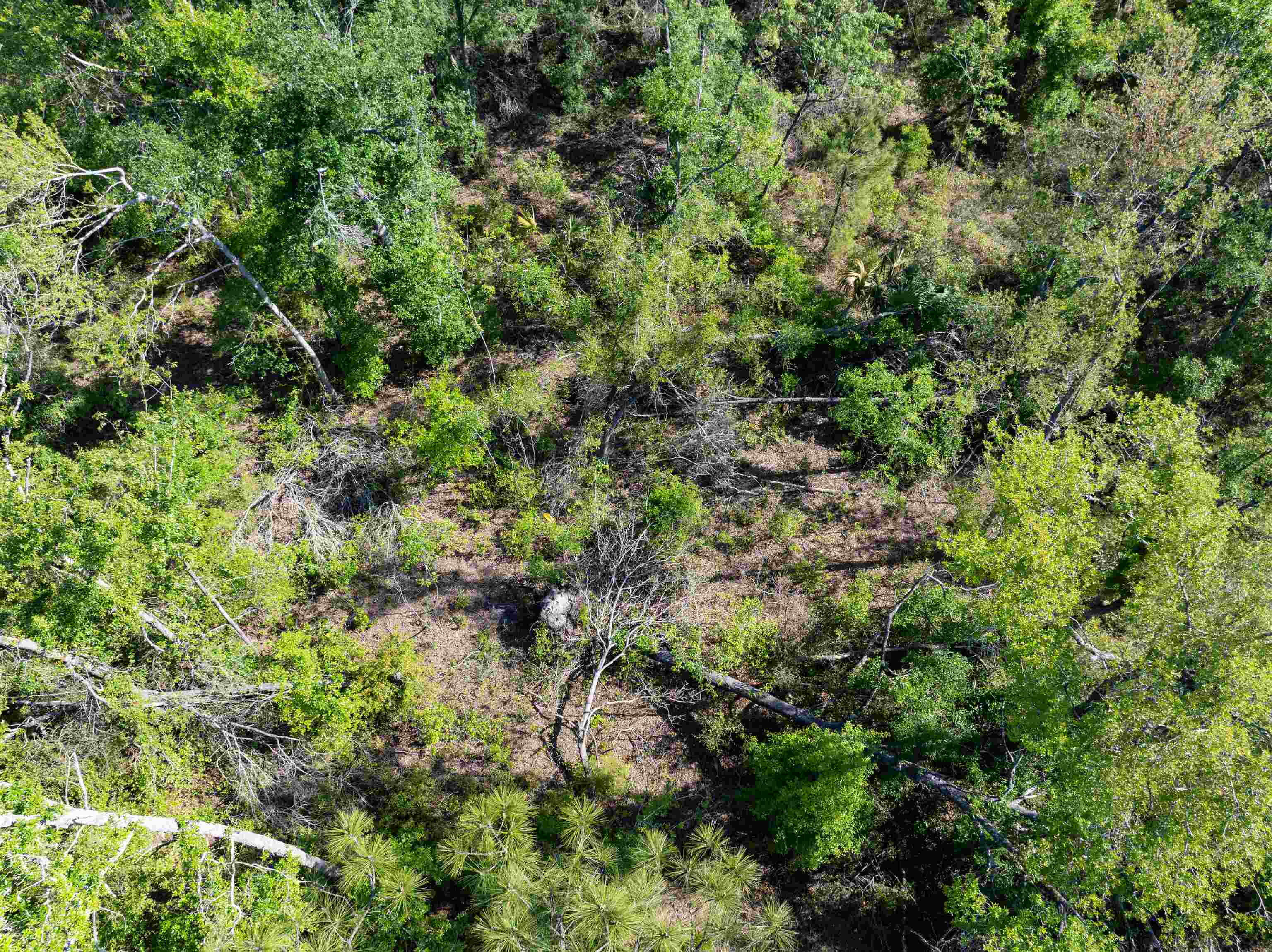 3756 Cash Road Perry, FL 32348 - Photo 13 of 14