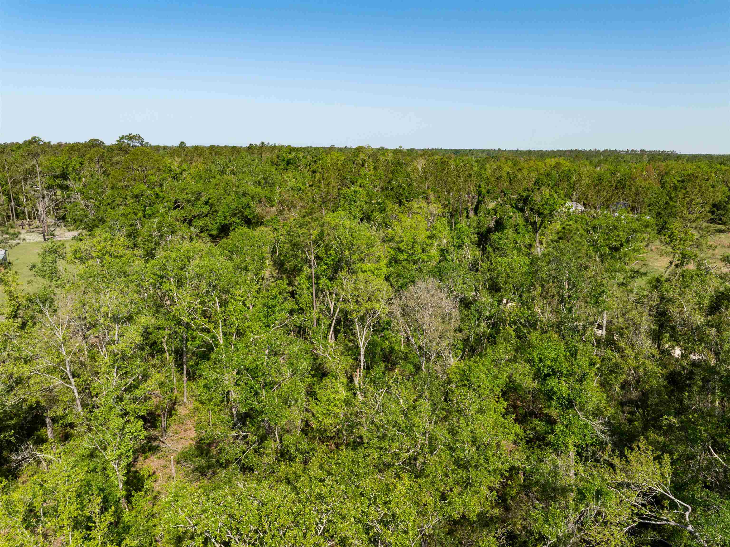 3756 Cash Road Perry, FL 32348 - Photo 14 of 14