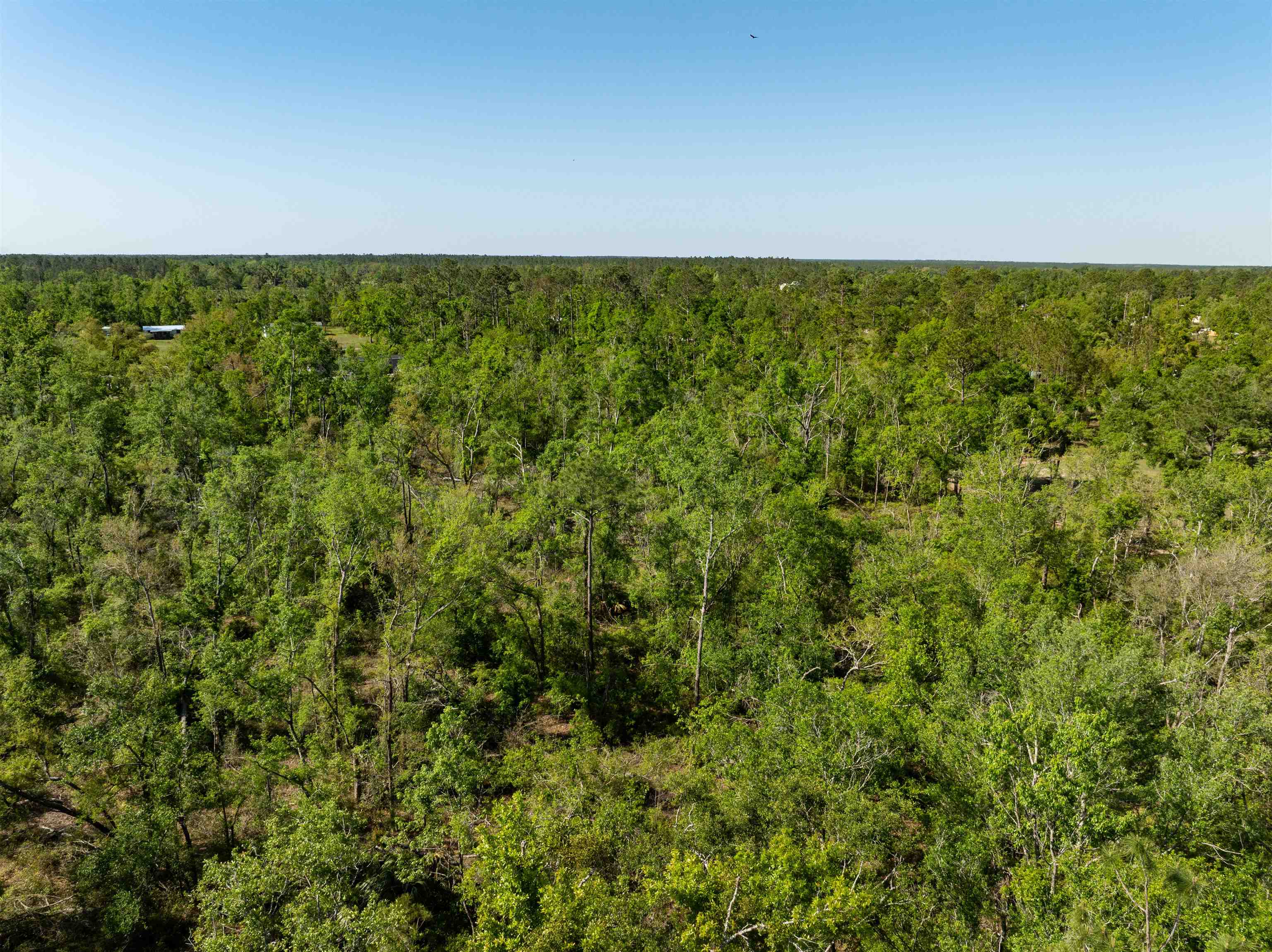 3756 Cash Road Perry, FL 32348 - Photo 2 of 14