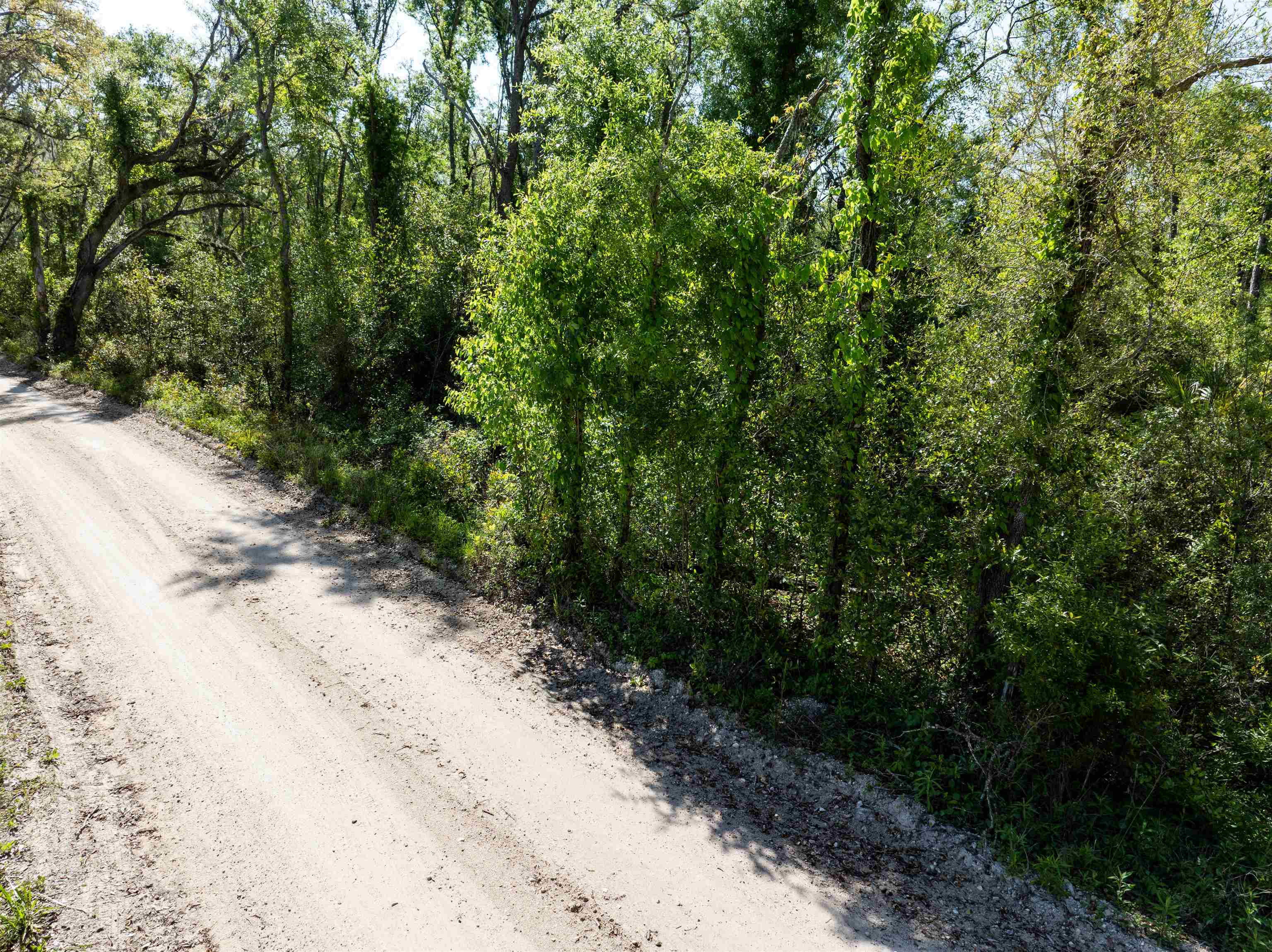 3756 Cash Road Perry, FL 32348 - Photo 6 of 14