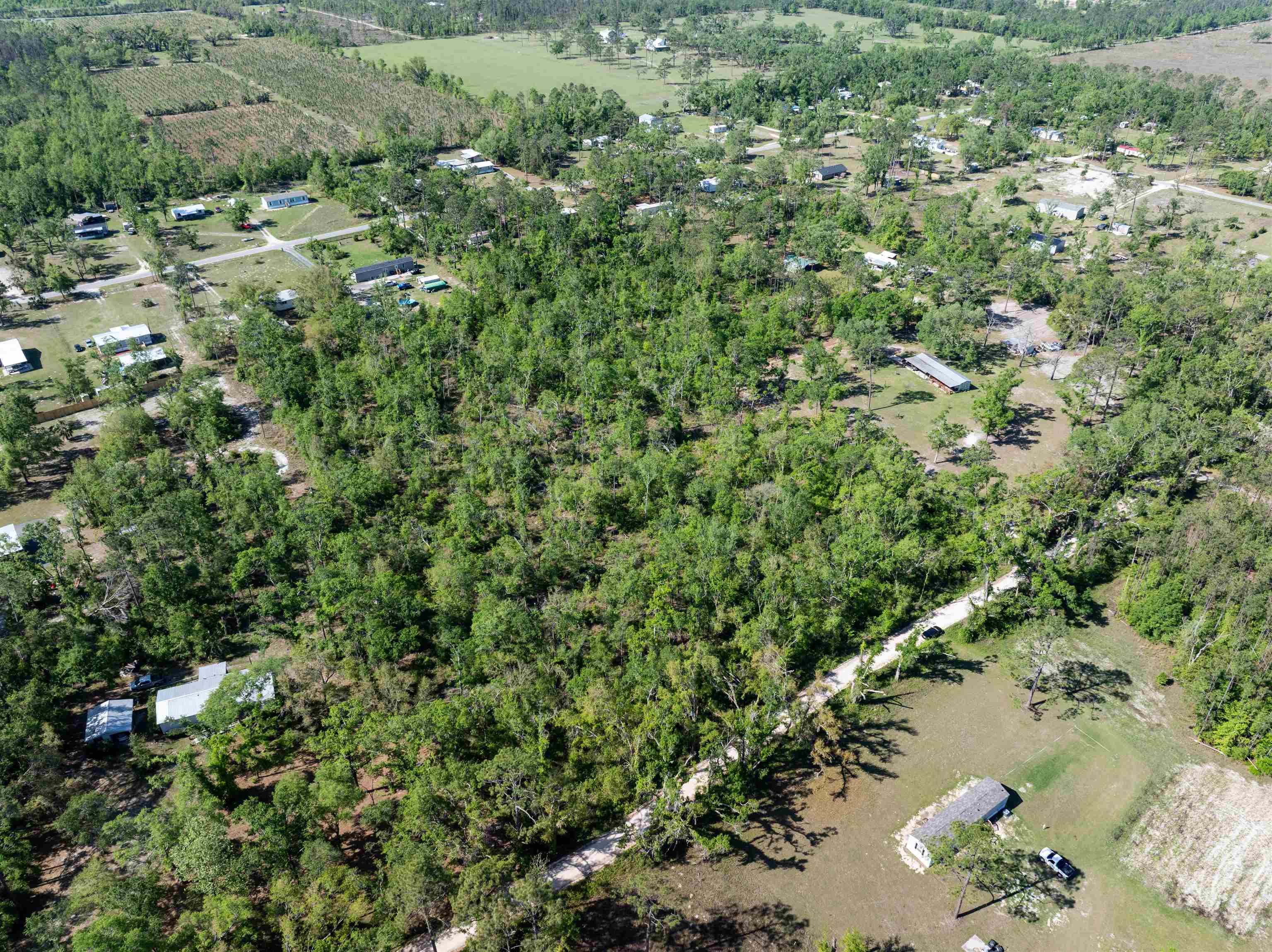 3756 Cash Road Perry, FL 32348 - Photo 7 of 14