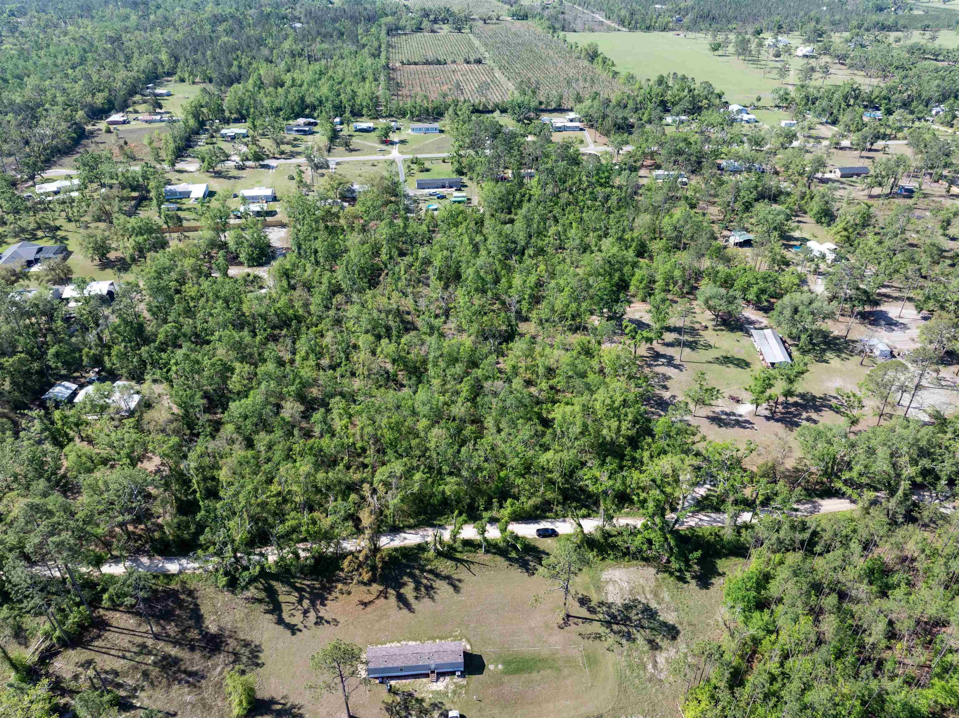 3756 Cash Road Perry, FL 32348 - Photo 8 of 14