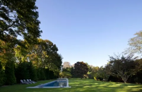 a view of a field with a tree in the background