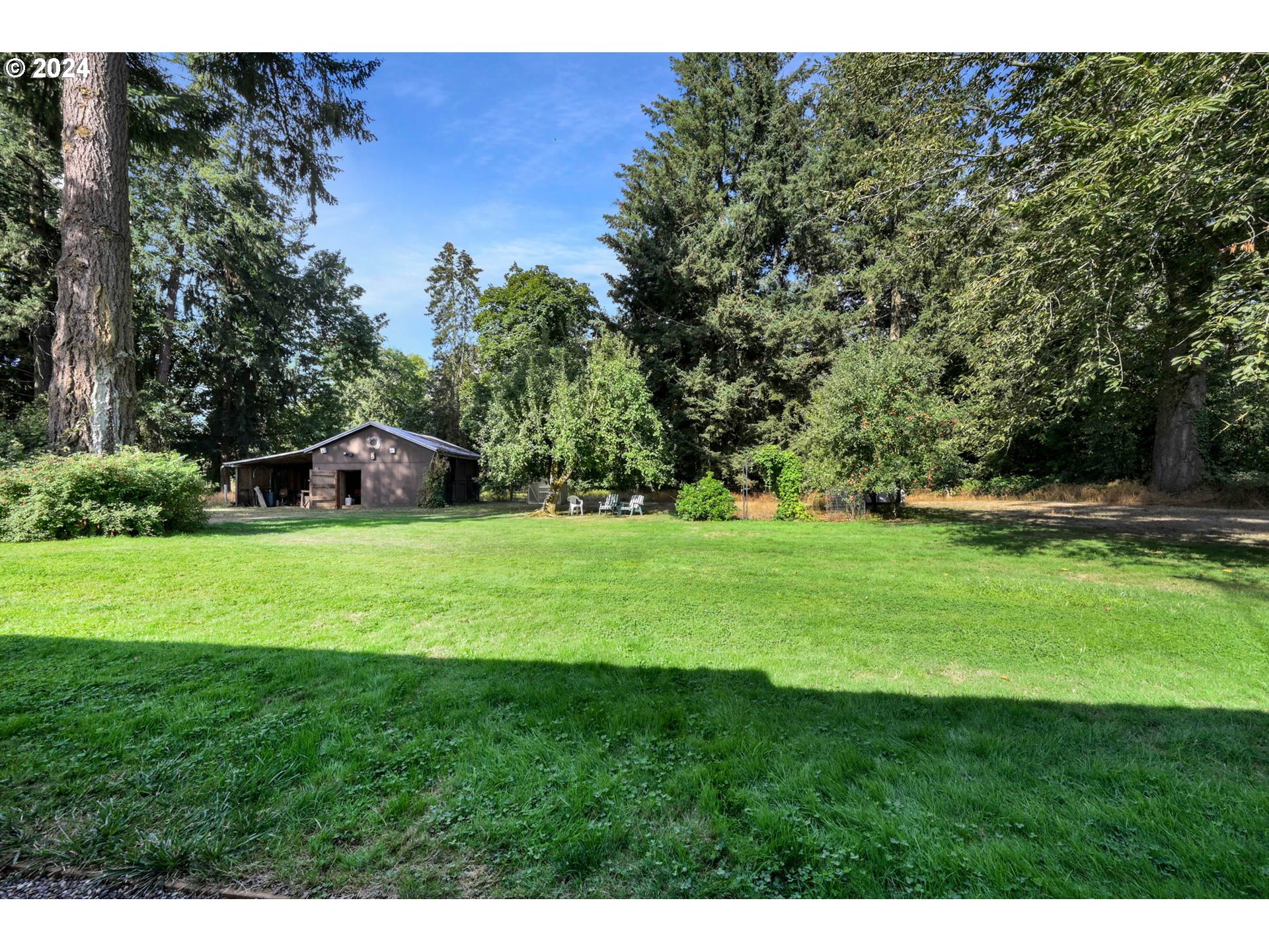 36054 Folsom Road Southeast Albany, OR 97322 - Photo 23 of 48 Backyard