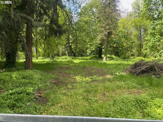 36054 Folsom Road Southeast Albany, OR 97322 - Photo 45 of 48 Gallery Image 45