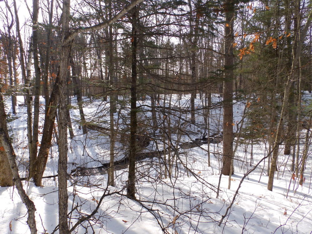 1936 Fish Lab Road Lewiston, MI 49756 - Photo 31 of 41 Gallery Image 31