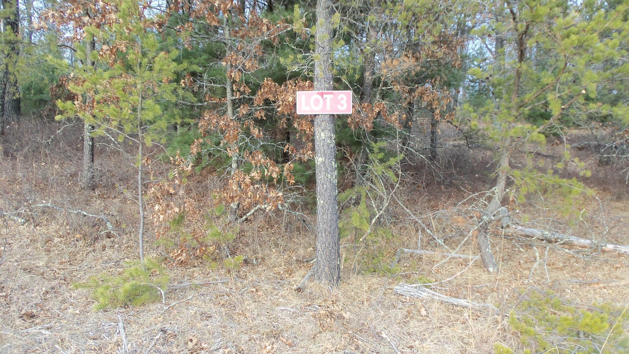 Lot 3 Pete Nelson Road Grantsburg, WI 54840 - Photo 1 of 1