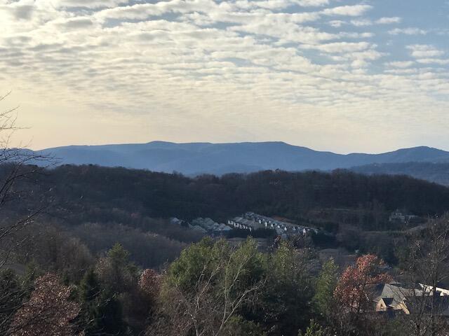 4434 Pheasant Ridge Road, Unit 206 Roanoke, VA 24014 - Photo 15 of 16 IMG_5535