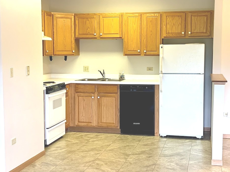 801 North McLean Boulevard, Unit 300 Elgin, IL 60123 - Photo 3 of 16 a kitchen with a sink a stove and a refrigerator