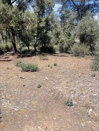 a view of dirt yard with a large tree