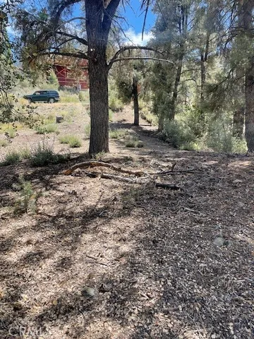 a view of a yard with wooden fence