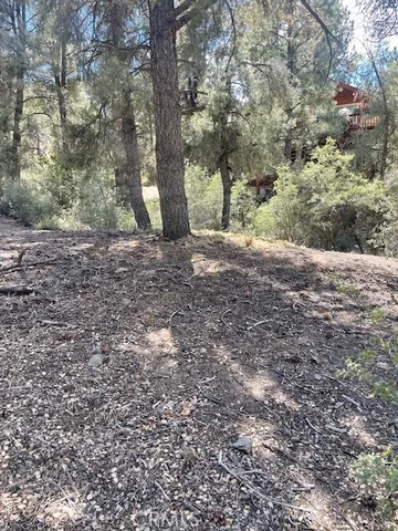 a view of a yard with a tree